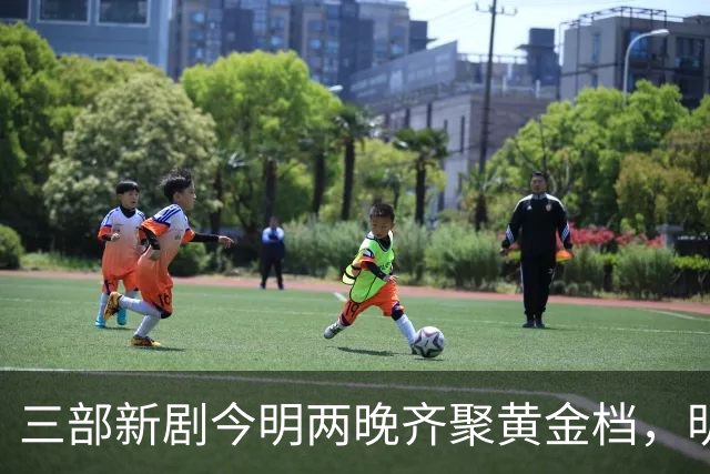 三部新剧今明两晚齐聚黄金档，明星阵容引期待
