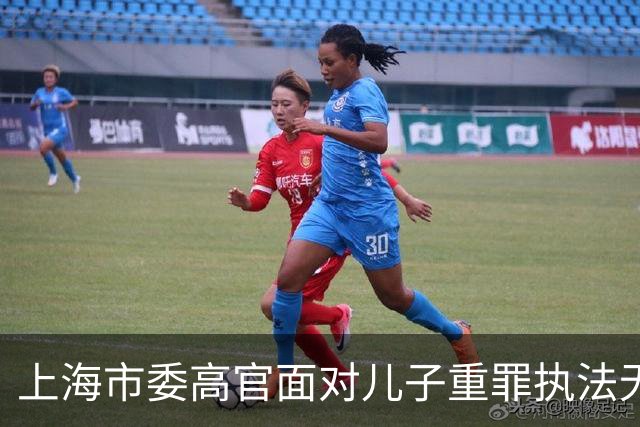 上海市委高官面对儿子重罪执法无私，彰显法治精神