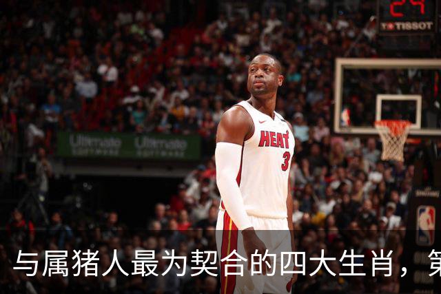 与属猪人最为契合的四大生肖，第二个竟能提升财运