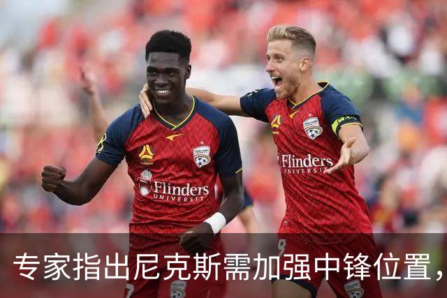 专家指出尼克斯需加强中锋位置，预计季前会有所动作