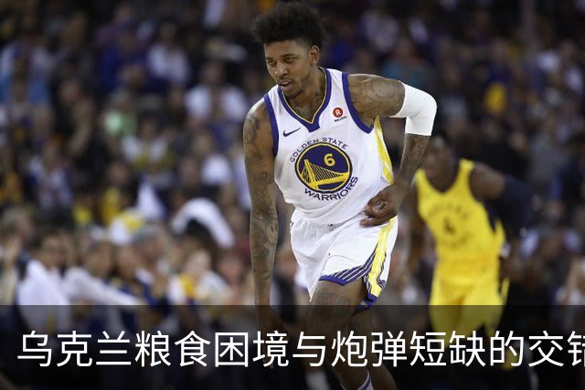 乌克兰粮食困境与炮弹短缺的交错局面