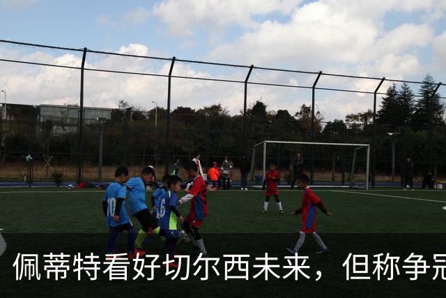 佩蒂特看好切尔西未来，但称争冠仍需时日