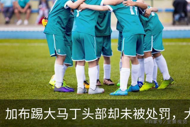 加布踢大马丁头部却未被处罚，大马丁无奈表达