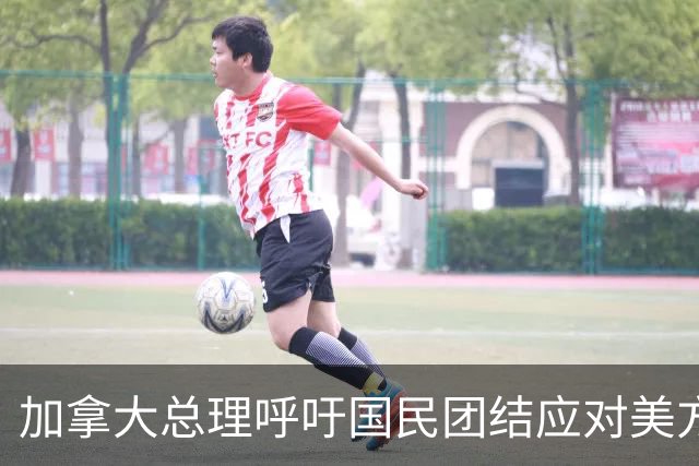 加拿大总理呼吁国民团结应对美方关税挑战