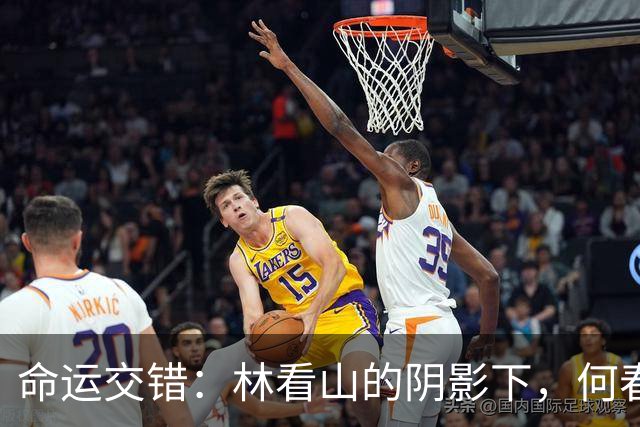 命运交错：林看山的阴影下，何春晓与锦兰的婚姻破裂