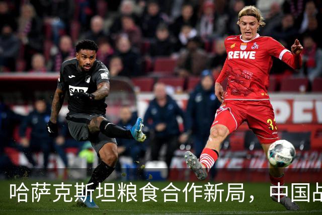 哈萨克斯坦粮食合作新局，中国战略布局显成效