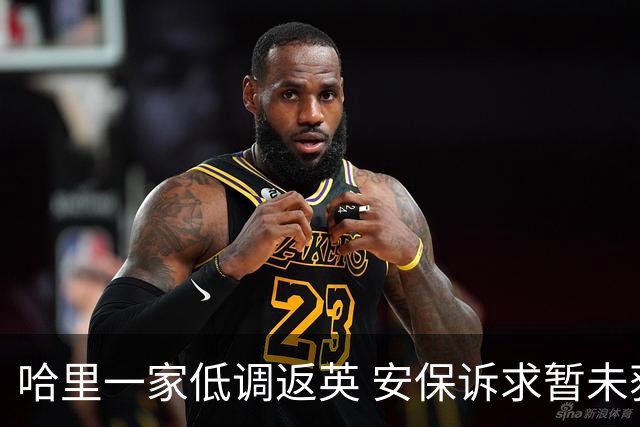 哈里一家低调返英 安保诉求暂未获批