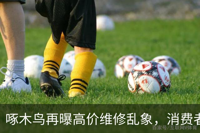 啄木鸟再曝高价维修乱象，消费者权益受损引发关注