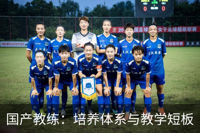 国产教练：培养体系与教学短板