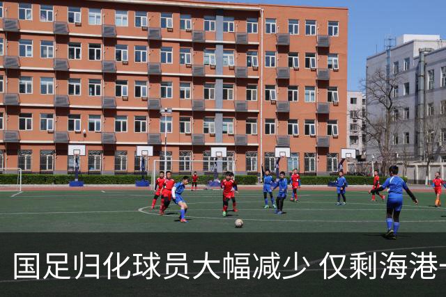国足归化球员大幅减少 仅剩海港一员