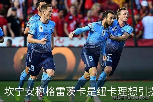 坎宁安称格雷茨卡是纽卡理想引援
