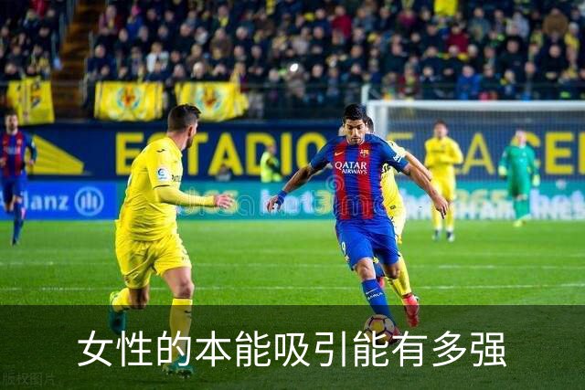 女性的本能吸引能有多强