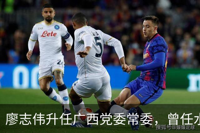 廖志伟升任广西党委常委，曾任水利部长江委员会主任