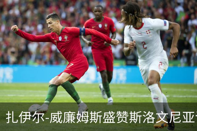 扎伊尔-威廉姆斯盛赞斯洛文尼亚训练营：体验令人愉悦
