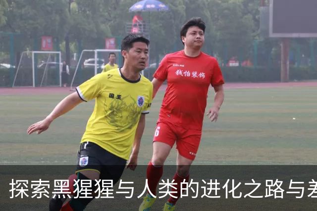 探索黑猩猩与人类的进化之路与差异