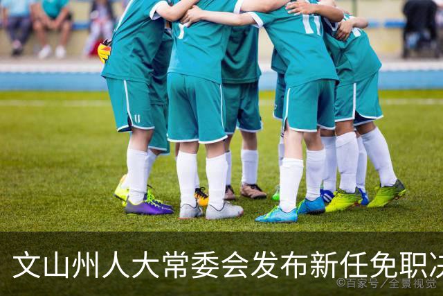 文山州人大常委会发布新任免职决定
