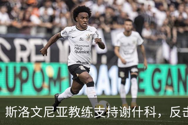 斯洛文尼亚教练支持谢什科，反击鲁尼的评论