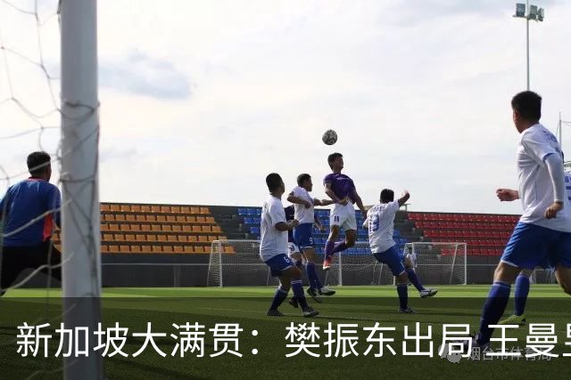 新加坡大满贯：樊振东出局 王曼昱晋级16强