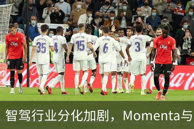 智驾行业分化加剧，Momenta与地平线为何前景迥异？