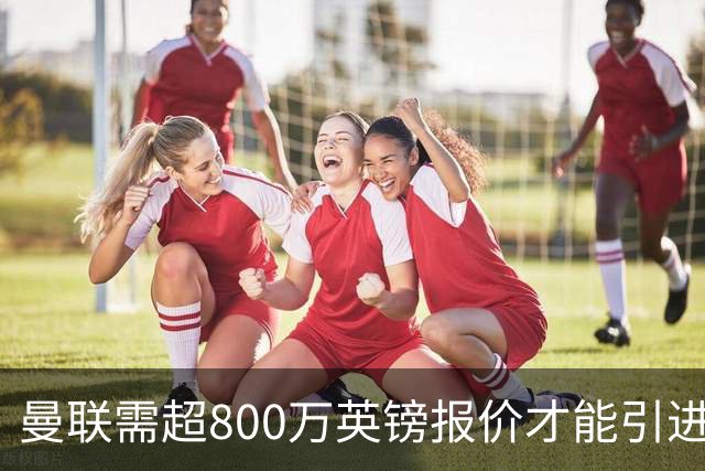 曼联需超800万英镑报价才能引进佩奇