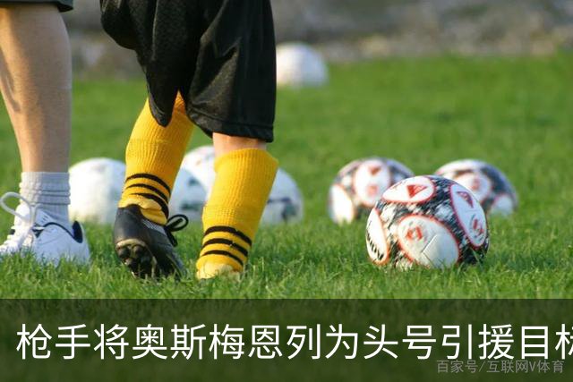 枪手将奥斯梅恩列为头号引援目标 要价或达7000万欧