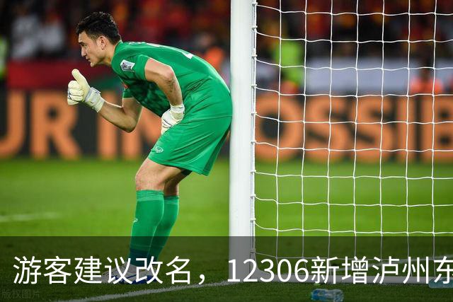 游客建议改名，12306新增泸州东站提醒功能