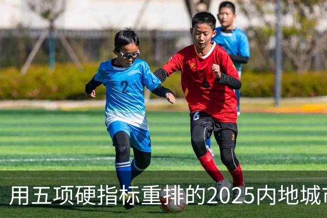 用五项硬指标重排的2025内地城市实力榜