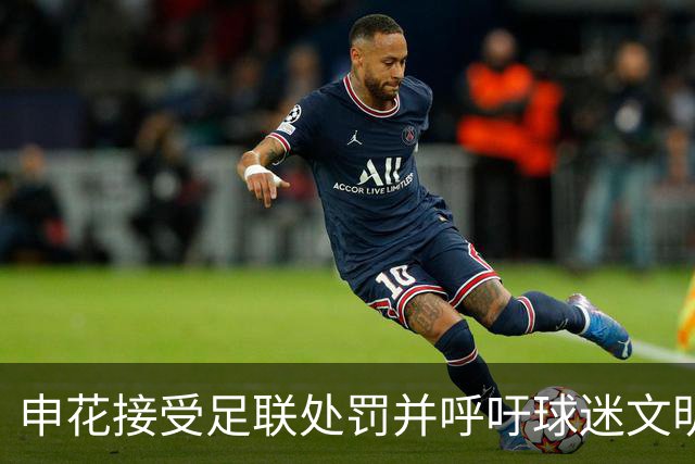 申花接受足联处罚并呼吁球迷文明观赛