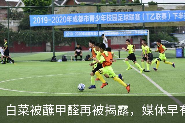 白菜被蘸甲醛再被揭露，媒体早有相关报道？