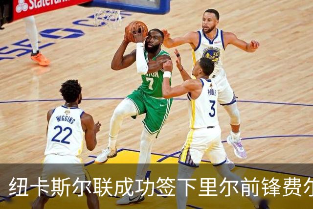 纽卡斯尔联成功签下里尔前锋费尔南德斯-帕尔多