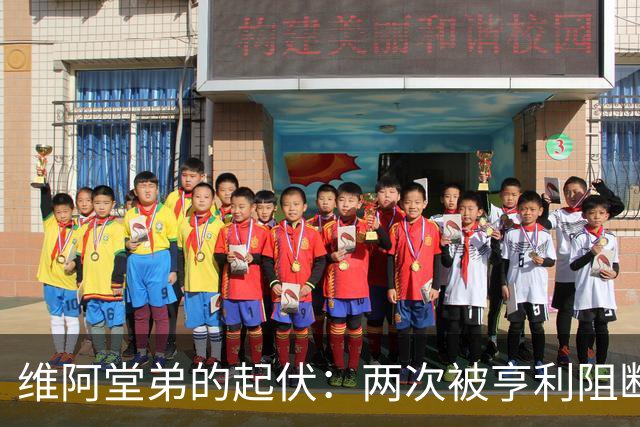 维阿堂弟的起伏：两次被亨利阻断的前途