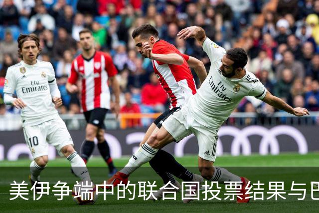 美伊争端中的联合国投票结果与巴勒斯坦遭遇的差异