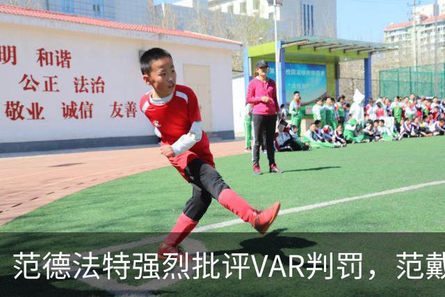 范德法特强烈批评VAR判罚，范戴克进球被判无效