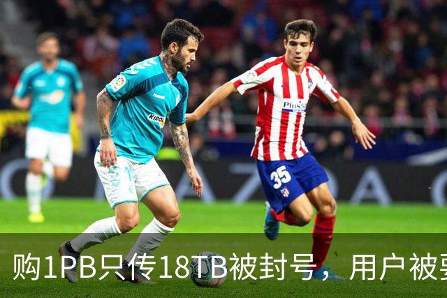 购1PB只传18TB被封号，用户被要求额外付费升级