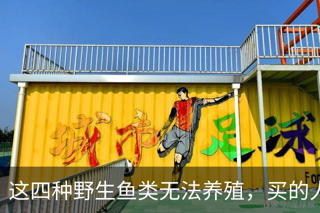 这四种野生鱼类无法养殖，买的人都是行家