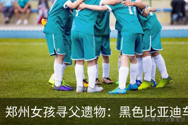 郑州女孩寻父遗物：黑色比亚迪车成唯一念想