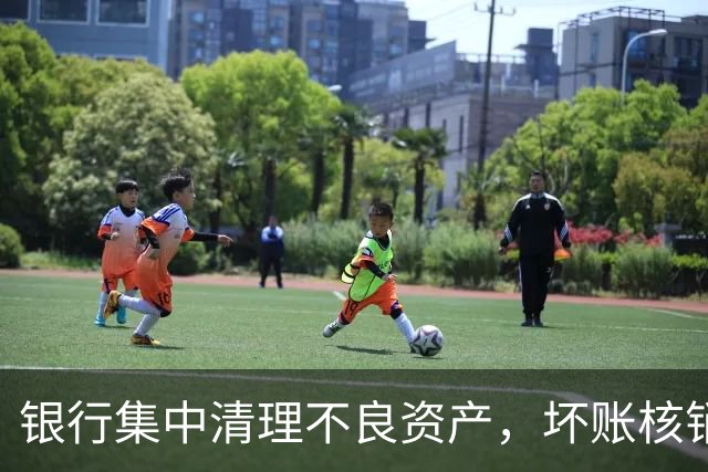 银行集中清理不良资产，坏账核销达千亿