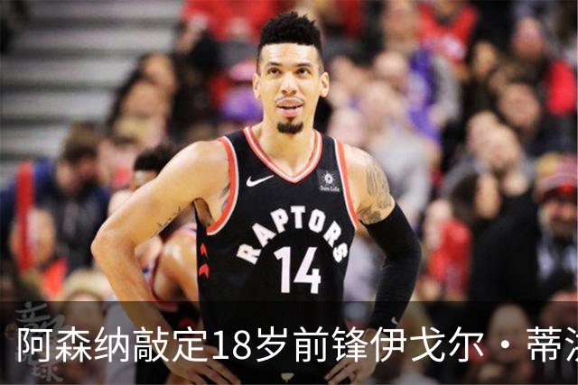 阿森纳敲定18岁前锋伊戈尔·蒂洪