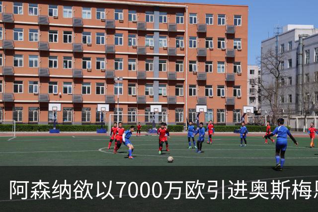 阿森纳欲以7000万欧引进奥斯梅恩补强锋线