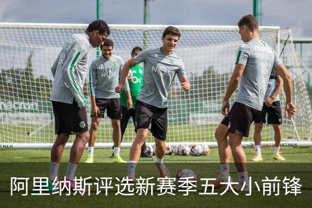 阿里纳斯评选新赛季五大小前锋