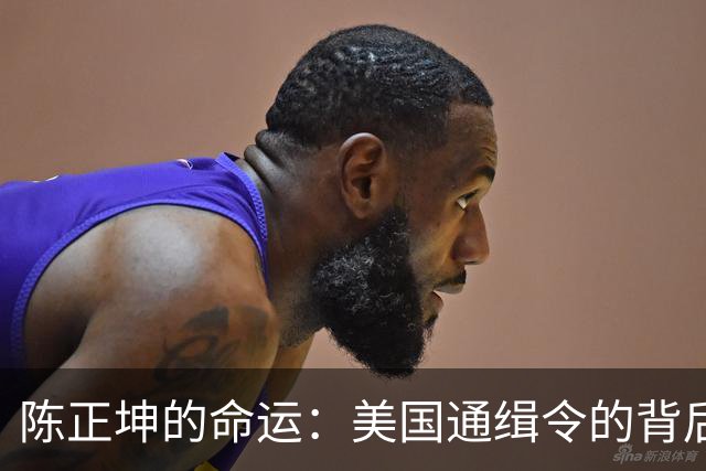 陈正坤的命运：美国通缉令的背后与影响