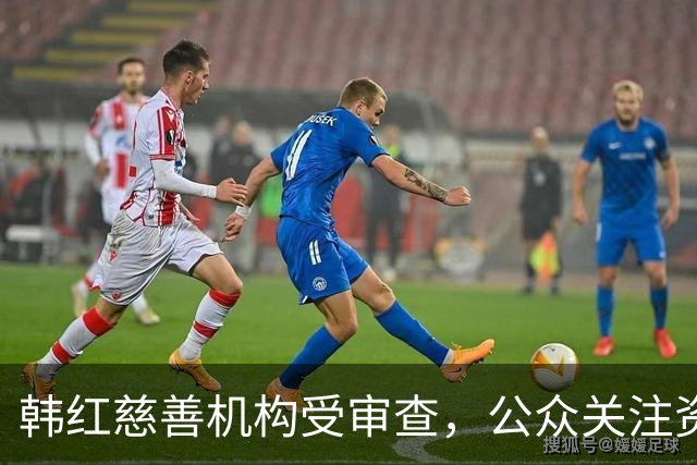 韩红慈善机构受审查，公众关注资金使用情况