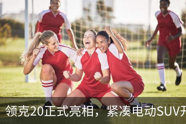 领克20正式亮相，紧凑电动SUV开启预订！