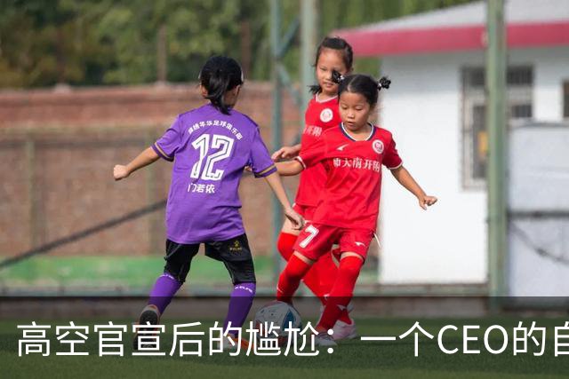 高空官宣后的尴尬：一个CEO的自私式退场