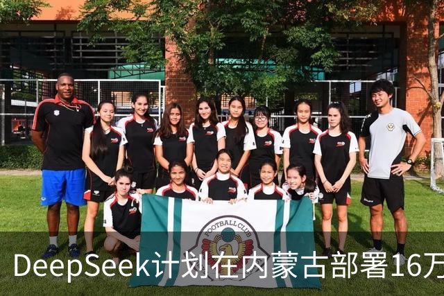 DeepSeek计划在内蒙古部署16万颗华为昇腾950DT芯片